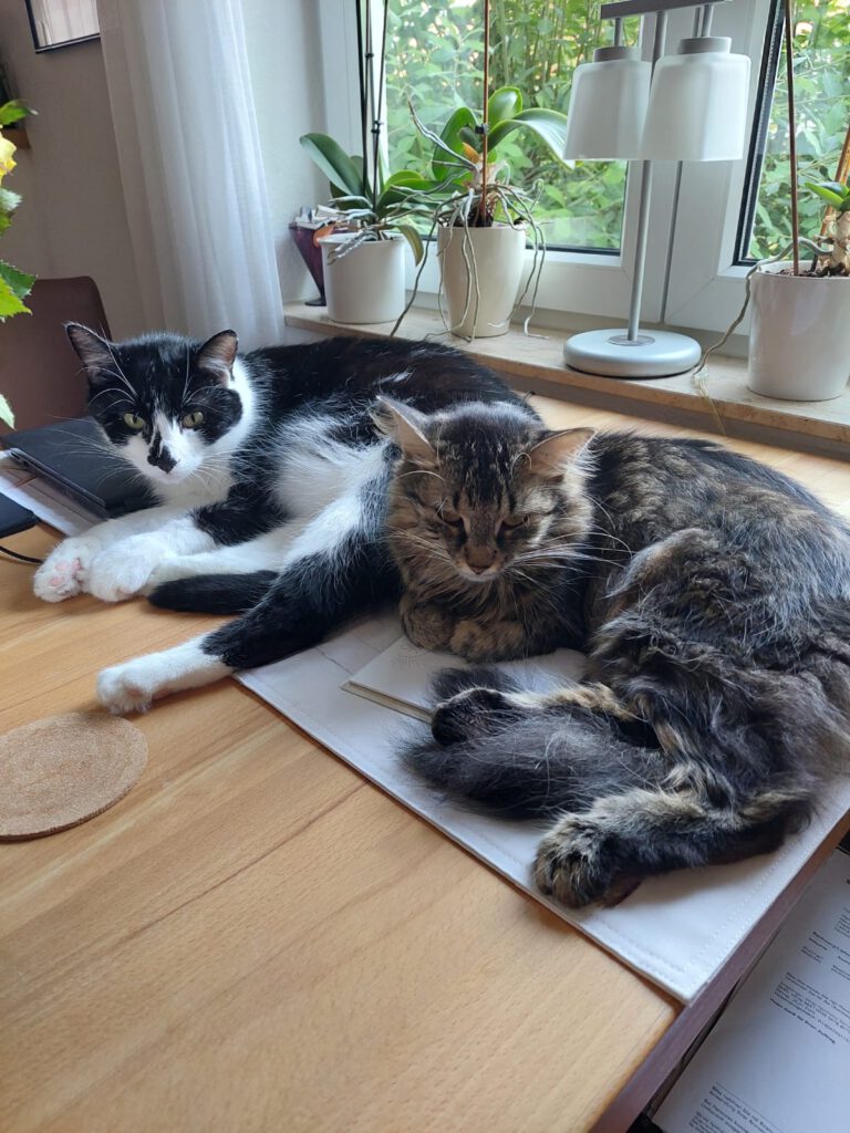 Joey und Hope